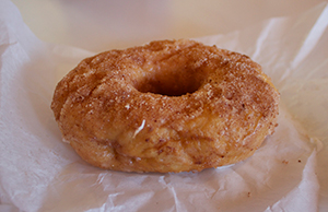 Hypnotic Donut Vegan Cinnamon Sugar