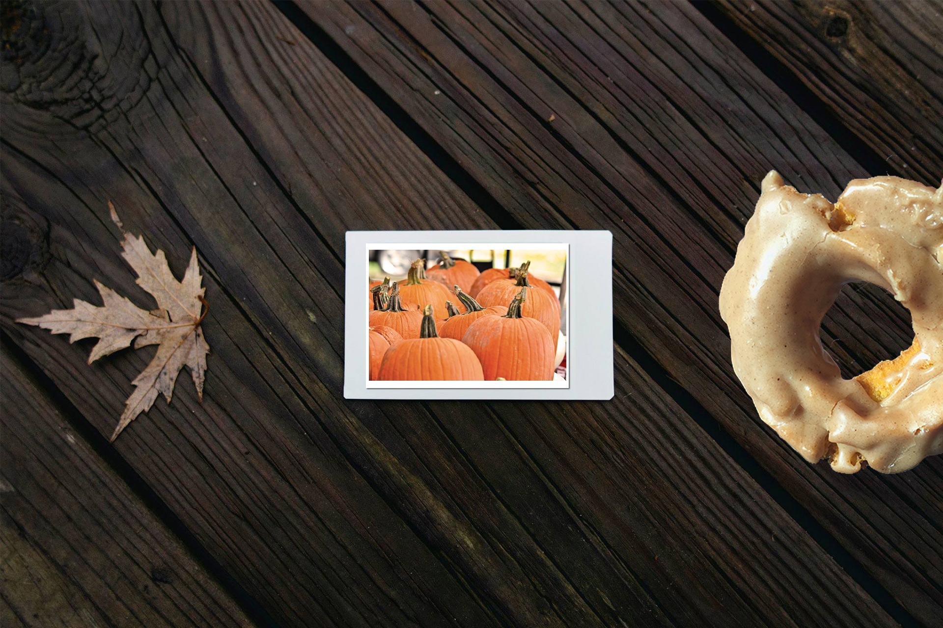 Top Pumpkin-Flavored Donuts in DFW