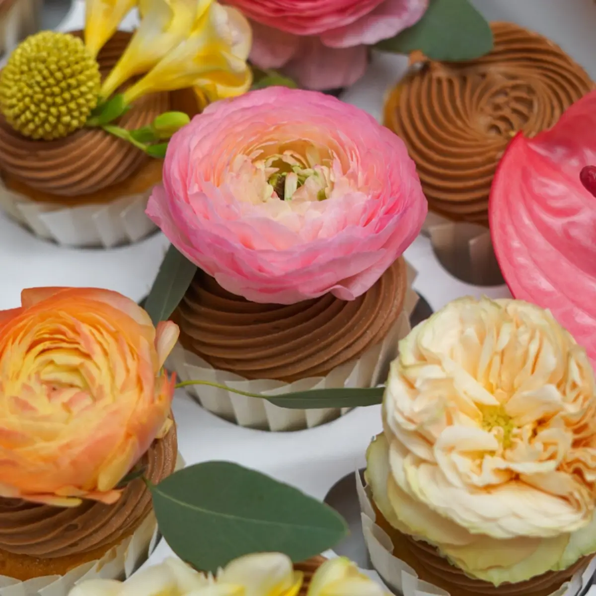 Decorated cupcakes from a specialty bakery