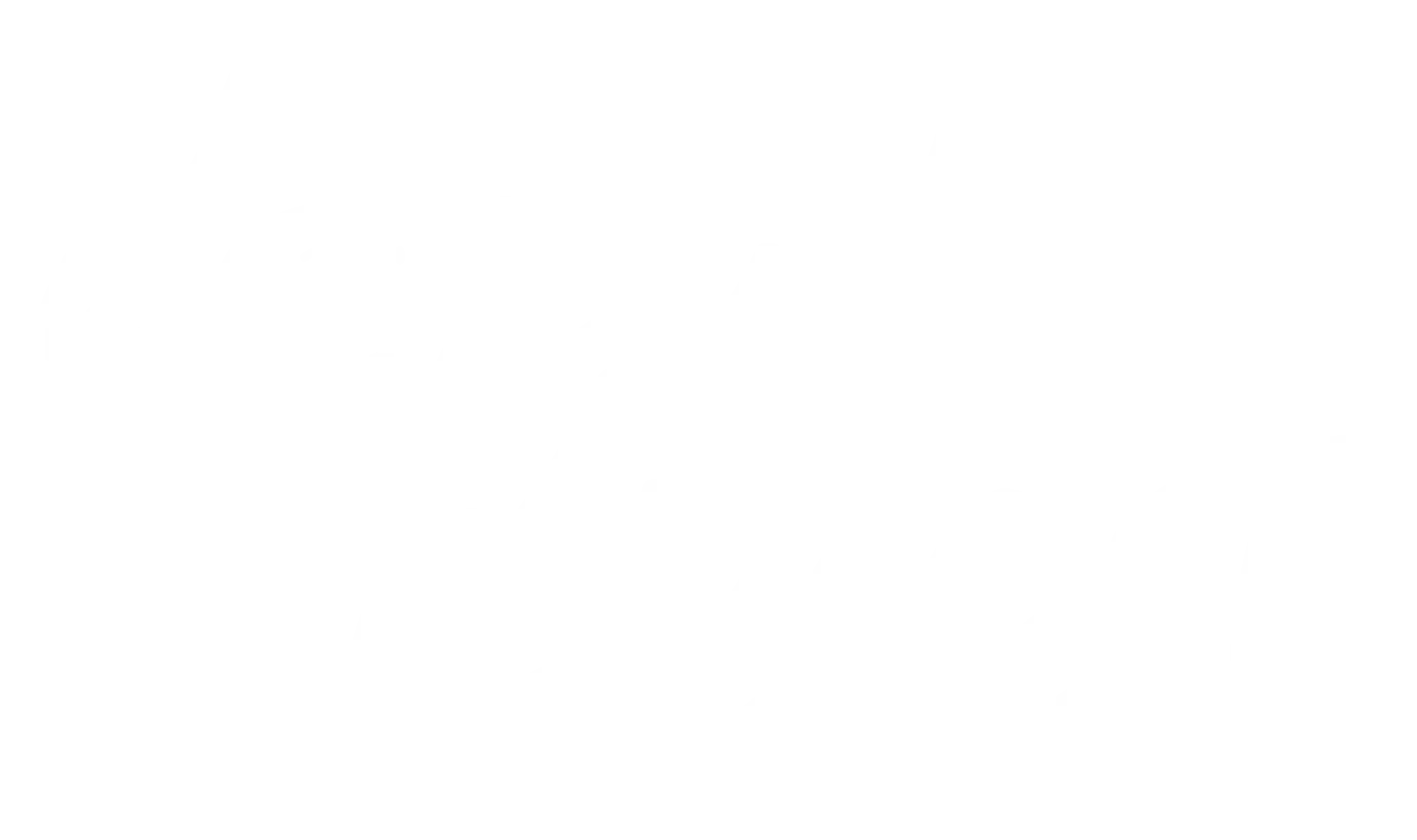Donut Digest logo in white for dark backgrounds